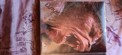 autograph American were wolf in pairs