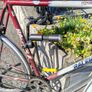 Raleigh bicycle Image 3