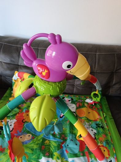Fisher-Price Tropical Jungle Baby Gym