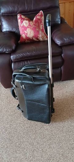 trolley suitcase