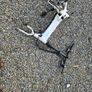 electric bikes x4 Image 2