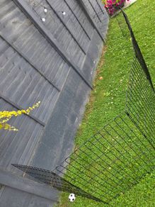 Puppy pen
