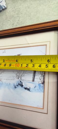 Set of 2 framed prints by Julian Friers is a renowned Irish wildlife painter