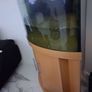 fishtank Image 4