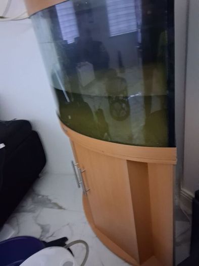 fishtank