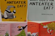 What Does an Anteater Eat hardback book