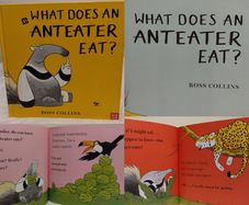 What Does an Anteater Eat hardback book