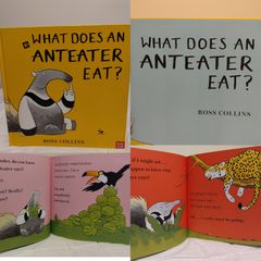 What Does an Anteater Eat hardback book