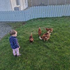 childrens garden /picket  fence