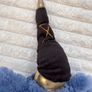 Build A Bear Aladdin Genie Teddy Bear Soft Plush approx. 45 cm. Used Please see photos Image 5