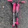 Sporter wriggle scooter Image 2