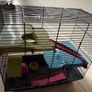 2-Level Small Animal Cage with Shelves & Accessories Image 3