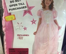 Sleeping Princess costume