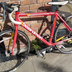 Boardman Road Sport 14