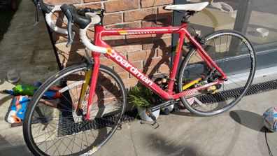 Boardman Road Sport 14