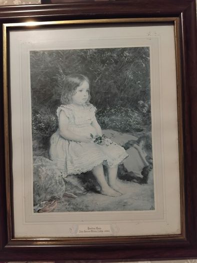 Valuable Picture of EvilineLees by John Everett Millais