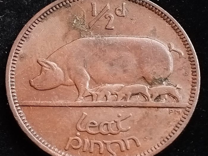 Ireland - 1942 - Half Penny - Sow - KM.10 - [204]