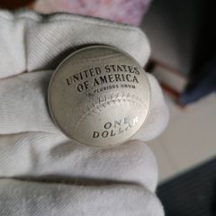 2014 USA Silver Proof One Dollar Coin