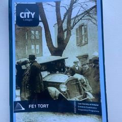 FE1 Tort manual