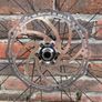 Mountain bike rear wheel Image 5