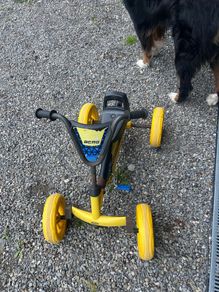 berg go kart