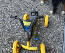 berg go kart