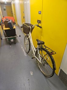 pendelton ladies bike