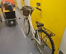 pendelton ladies bike