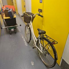 pendelton ladies bike