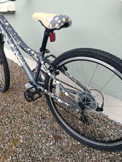 Girls bike