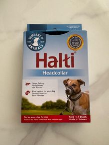 Halti dog headcollar