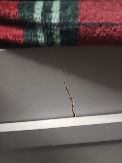 Single day bed and mattress