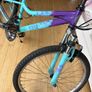 Apollo vivid junior mountain bike. Image 5