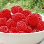 Japanese Strawberry-Raspberry plants 2l pot available in September 2024 Image 5