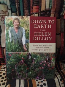 Helen Dillon / 1st Edition/ 2007