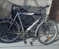 young teen bike