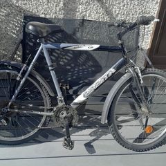 young teen bike