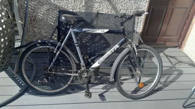young teen bike