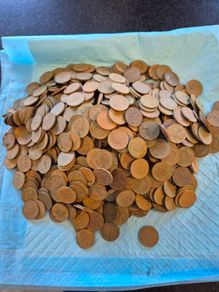 Coin