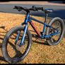 Orbea MX 20 Team disc Image 2