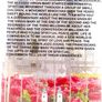 Medjugorje - Ave Maria Medjugorje - I Am With You 25 Years Image 2