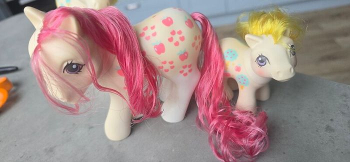 Apple Delight Family Loving Families  Daddy Mammy Sister Daughter HK Hong Kong Version MLP G1 My Little Pony