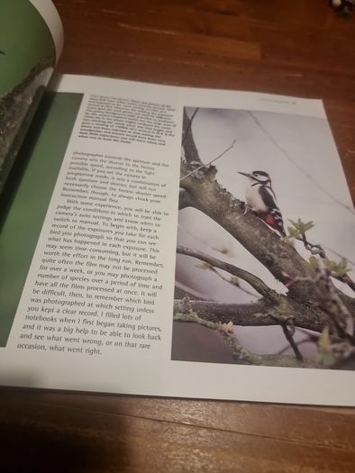An Essential Guide to Bird Photography (Paperback)