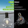 30M/100Ft IP45 Waterproof LED Festoon Lights Outdoor, Indoor Outdoor Globe String Lights for Garden, Yard, Wedding, Christmas, Backyard, Terrace, Party Image 4