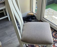 Set of 6 dining chairs