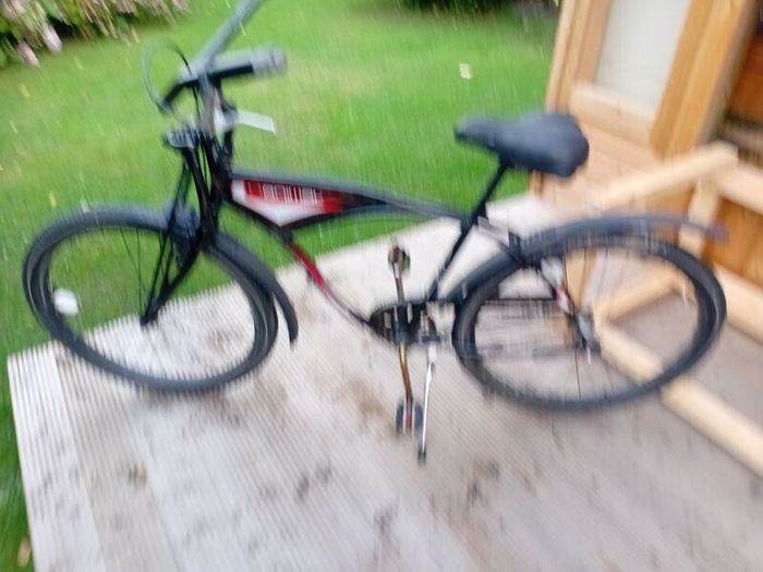 adults bike