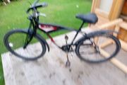 adults bike