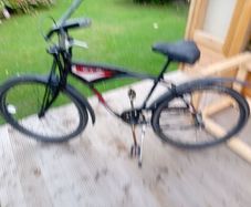 adults bike