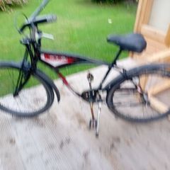 adults bike