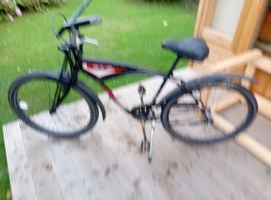 adults bike